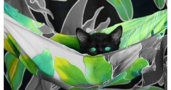 Black cats, their history, reputation, and why they languish in shelters